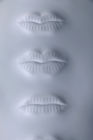 ゴム製擬似永久的な構造の練習の皮のMicrobladingのための白い3D唇の皮